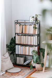 bookshelf, table, hanging plant, orange rug