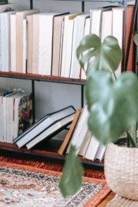 books on a shelf with orange rug and potted plant